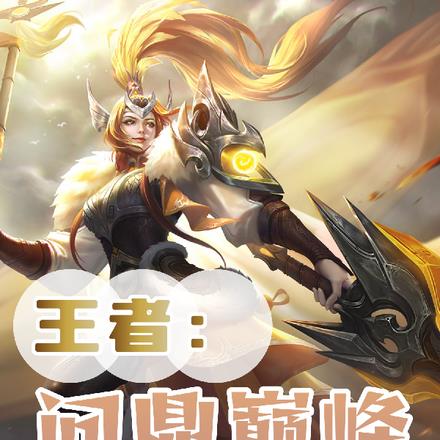 王者：问鼎巅峰