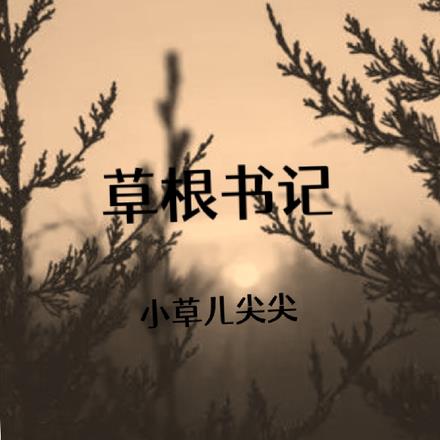 草根书记